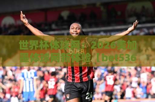 世界杯体球网:2026美加墨体球网新体验【bet5365球盘网】深度评测与实用指南 世界杯体球网:2026美加墨体球网新体验【bet5365球盘网】深度评测与实用指南