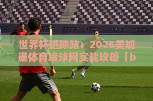 世界杯进球站：2026美加墨体育堵球网实战攻略【bet5365投球站】新手必看指南