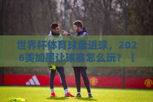 世界杯体育球盘进球，2026美加墨让球赛怎么玩？【bet5365体育球盘买球网】实战指南