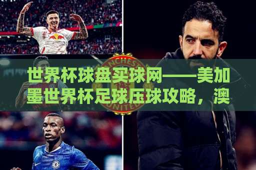 世界杯球盘买球网——美加墨世界杯足球压球攻略，澳门买球网2026观赛指南
