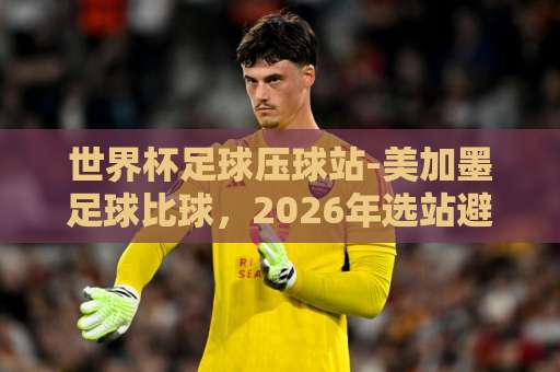 世界杯足球压球站-美加墨足球比球，2026年选站避坑全攻略【best63买球网】