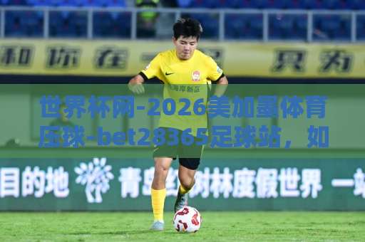 世界杯网-2026美加墨体育压球-bet28365足球站，如何选择靠谱平台？【2026美加墨】世界杯观赛与压球全攻略
