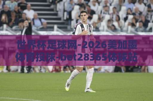 世界杯足球网-2026美加墨体育投球-bet28365体球站：球迷必备的观赛与投注指南【2026美加墨世界杯】