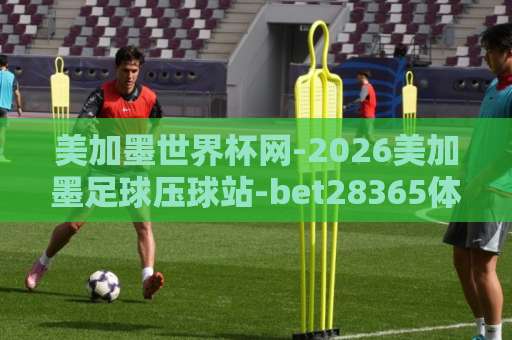 美加墨世界杯网-2026美加墨足球压球站-bet28365体育足球买球站：2026年世界杯竞猜怎么选？【美加墨世界杯】深度盘点