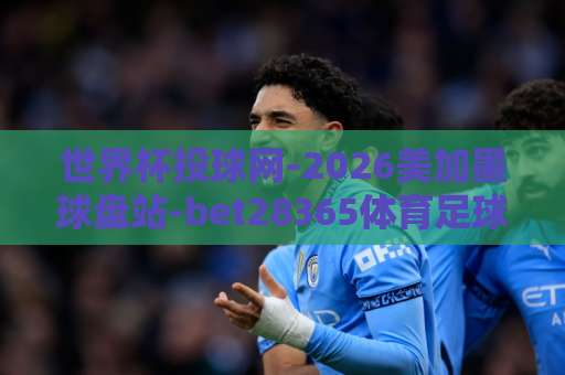 世界杯投球网-2026美加墨球盘站-bet28365体育足球买球网 全面解析2026世界杯投注平台【bet28365】