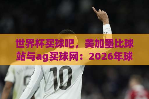 世界杯买球吧，美加墨比球站与ag买球网：2026年球迷必知的三大观赛与投注平台深度解析