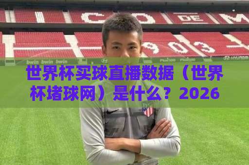 世界杯买球直播数据（世界杯堵球网）是什么？2026新视角解析