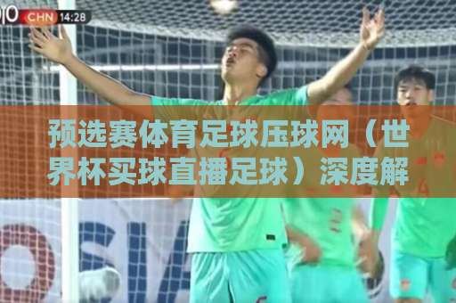 预选赛体育足球压球网（世界杯买球直播足球）深度解析，2026观赛指南来了！