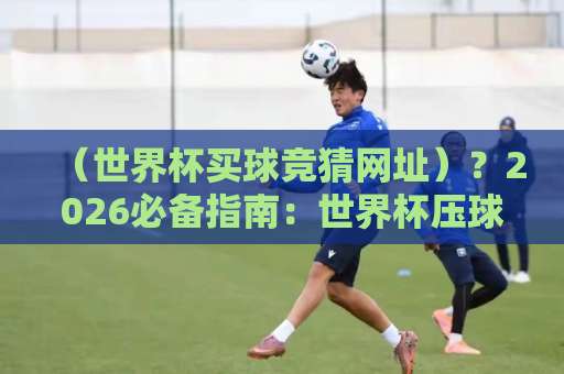 （世界杯买球竞猜网址）？2026必备指南：世界杯压球网安全选择