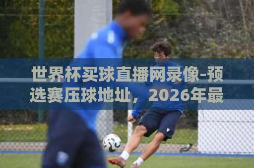 世界杯买球直播网录像-预选赛压球地址，2026年最新观赛指南【世界杯直播】