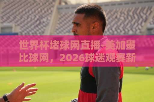 世界杯堵球网直播-美加墨比球网，2026球迷观赛新姿势【世界杯】必看攻略