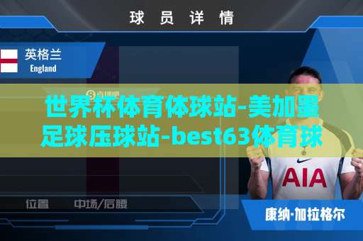世界杯体育体球站-美加墨足球压球站-best63体育球盘买球站：购彩必读避坑指南【2026美加墨世界杯】实战经验分享