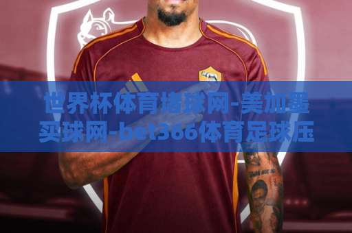 世界杯体育堵球网-美加墨买球网-bet366体育足球压球网：2026年观赛与投注实用指南
