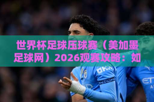 世界杯足球压球赛（美加墨足球网）2026观赛攻略：如何选对bet356买球网？