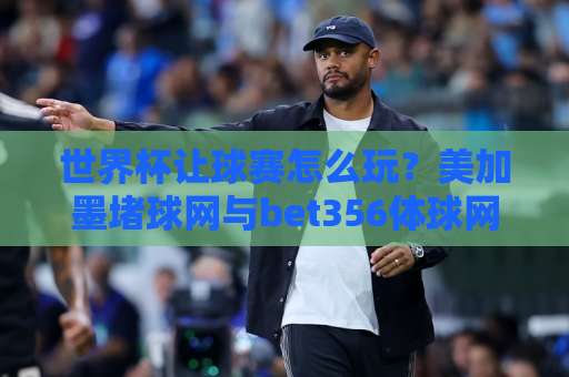 世界杯让球赛怎么玩？美加墨堵球网与bet356体球网实战解析【2026指南】