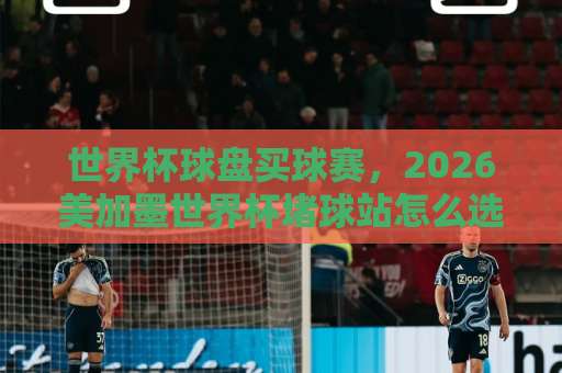 世界杯球盘买球赛，2026美加墨世界杯堵球站怎么选？FIFA买球站安全指南