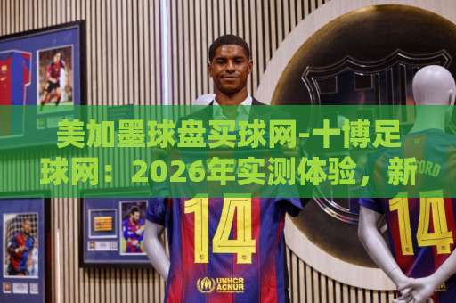 美加墨球盘买球网-十博足球网：2026年实测体验，新手避坑指南【美加墨球盘买球网】深度解析
