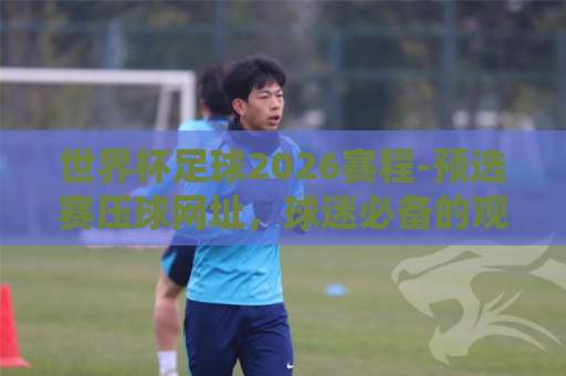 世界杯足球2026赛程-预选赛压球网址,球迷必备的观赛攻略【2026】 世界杯足球2026赛程-预选赛压球网址,球迷必备的观赛攻略【2026】