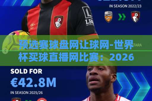 预选赛球盘网让球网-世界杯买球直播网比赛：2026世预赛观赛与投注全攻略【预选赛球盘网】让球玩法详解