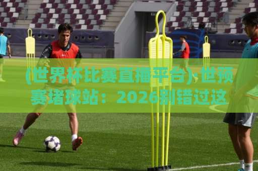 (世界杯比赛直播平台)·世预赛堵球站：2026别错过这些靠谱渠道