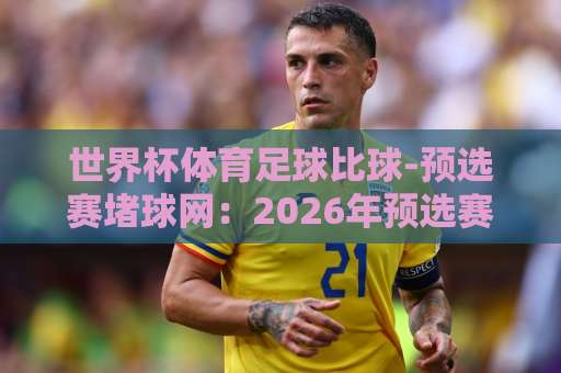 世界杯体育足球比球-预选赛堵球网：2026年预选赛深度解析与实战指南【必看】