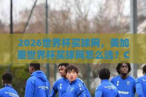 2026世界杯买球网，美加墨世界杯买球网怎么选？CBA买球站观赛投注指南