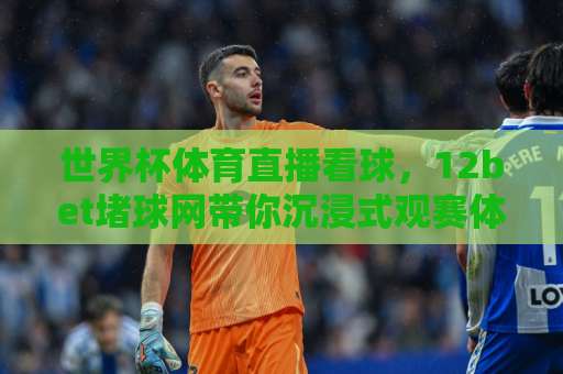 世界杯体育直播看球，12bet堵球网带你沉浸式观赛体验【2026最新指南】