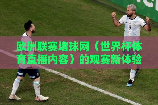 欧洲联赛堵球网（世界杯体育直播内容）的观赛新体验：2026年球迷必看指南