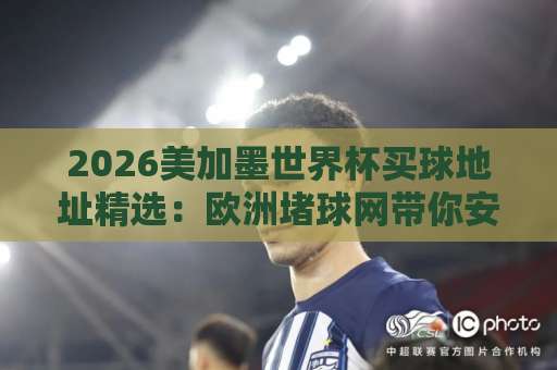 2026美加墨世界杯买球地址精选：欧洲堵球网带你安全观赛【球迷必备】