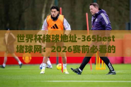 世界杯堵球地址-365best堵球网：2026赛前必看的避坑指南（附实测反馈）