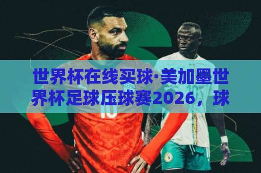 世界杯在线买球·美加墨世界杯足球压球赛2026，球王会买球平台全解析