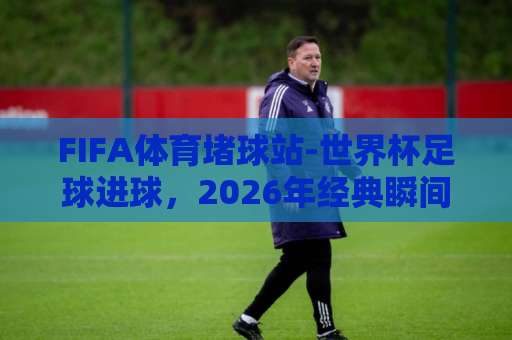 FIFA体育堵球站-世界杯足球进球，2026年经典瞬间全解析【世界杯进球】攻略