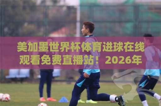 美加墨世界杯体育进球在线观看免费直播站！2026年球迷必藏的五大观赛平台【美加墨世界杯】独家推荐