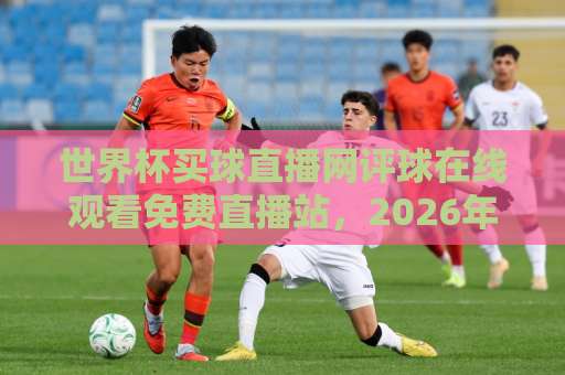 世界杯买球直播网评球在线观看免费直播站，2026年度最佳观赛平台推荐【世界杯直播】必备指南