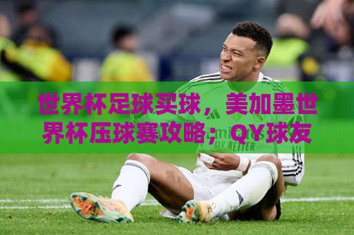 世界杯足球买球，美加墨世界杯压球赛攻略；QY球友会足球网带你前瞻2026巅峰对决！