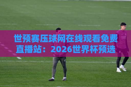 世预赛压球网在线观看免费直播站：2026世界杯预选赛观赛全攻略【免费直播】
