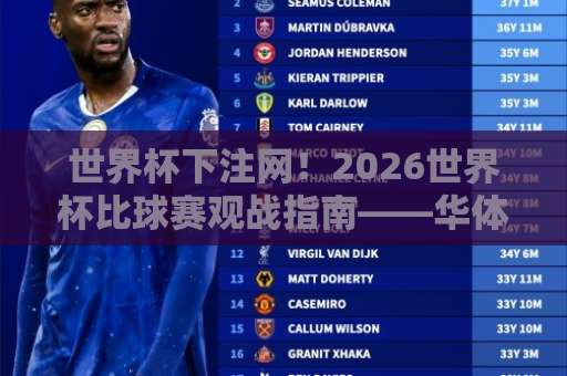 世界杯下注网！2026世界杯比球赛观战指南——华体会体育网专家解析
