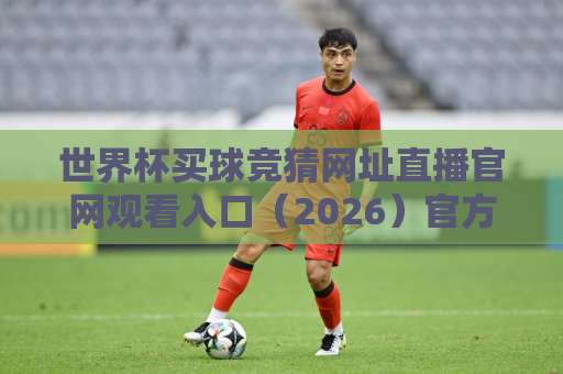 世界杯买球竞猜网址直播官网观看入口（2026）官方观赛与竞猜渠道全汇总