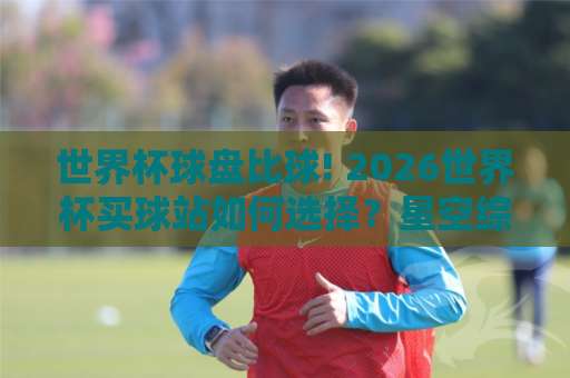 世界杯球盘比球! 2026世界杯买球站如何选择？星空综合体育为你深度解析
