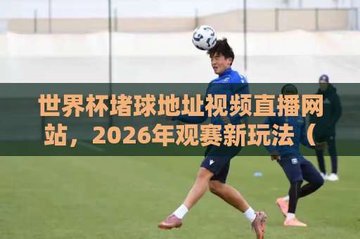 世界杯堵球地址视频直播网站，2026年观赛新玩法（避坑指南）