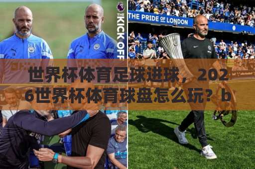 世界杯体育足球进球，2026世界杯体育球盘怎么玩？bob体育网深度解析