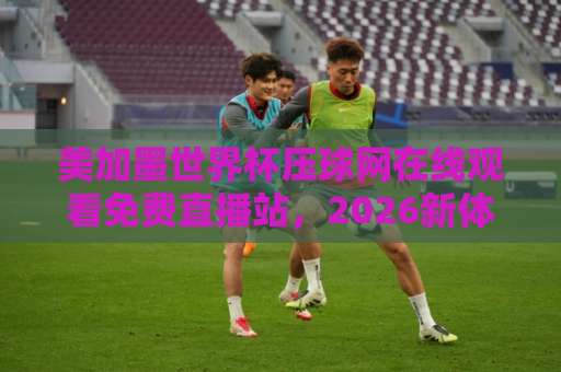 美加墨世界杯压球网在线观看免费直播站，2026新体验【观赛指南】