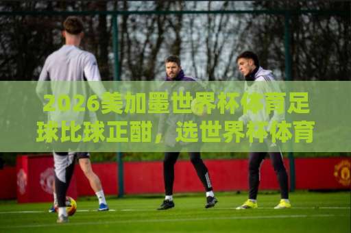 2026美加墨世界杯体育足球比球正酣，选世界杯体育投球站别踩坑！球王会买球网实测