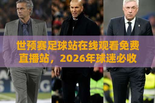 世预赛足球站在线观看免费直播站，2026年球迷必收的观赛指南！