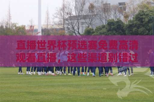 直播世界杯预选赛免费高清观看直播，这些渠道别错过！