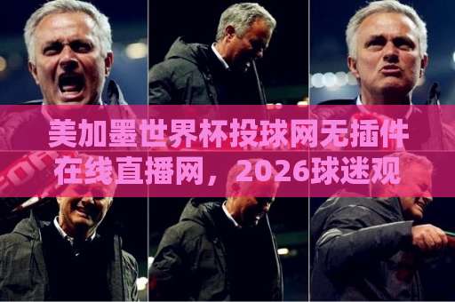 美加墨世界杯投球网无插件在线直播网，2026球迷观赛新姿势