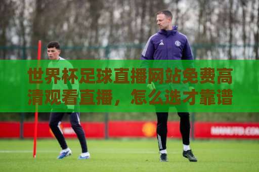 世界杯足球直播网站免费高清观看直播,怎么选才靠谱?【世界杯直播】避坑指南 世界杯足球直播网站免费高清观看直播,怎么选才靠谱?【世界杯直播】避坑指南
