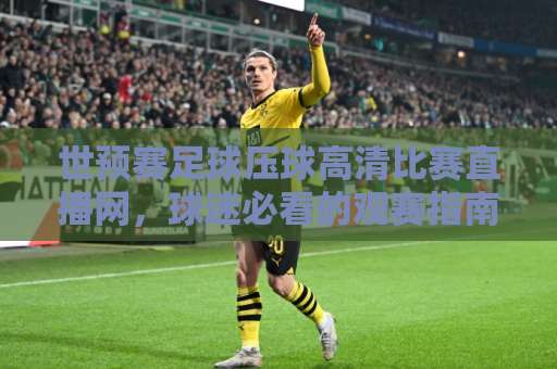 世预赛足球压球高清比赛直播网，球迷必看的观赛指南（2026版）