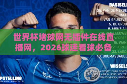 世界杯堵球网无插件在线直播网，2026球迷看球必备神器【无插件直播】