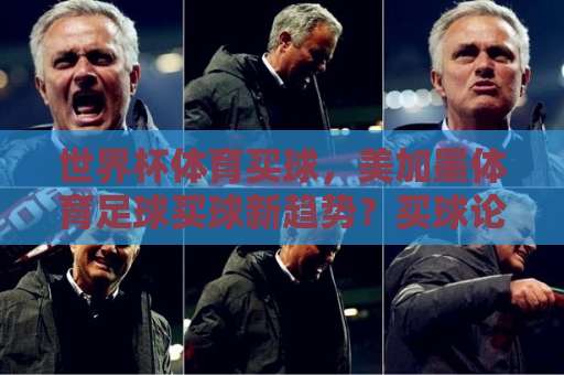 世界杯体育买球，美加墨体育足球买球新趋势？买球论坛网实战指南